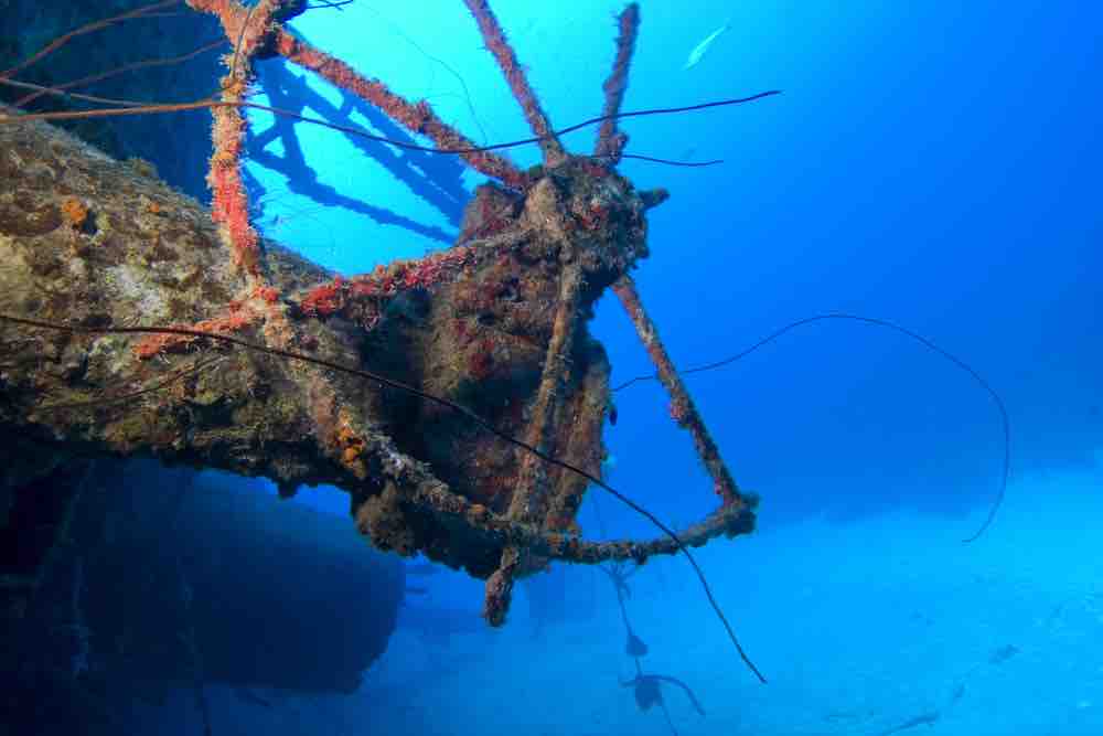 hilma hooker