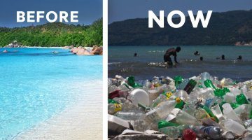 The Incredible Sea of Plastic That's Taking Over the Caribbean
