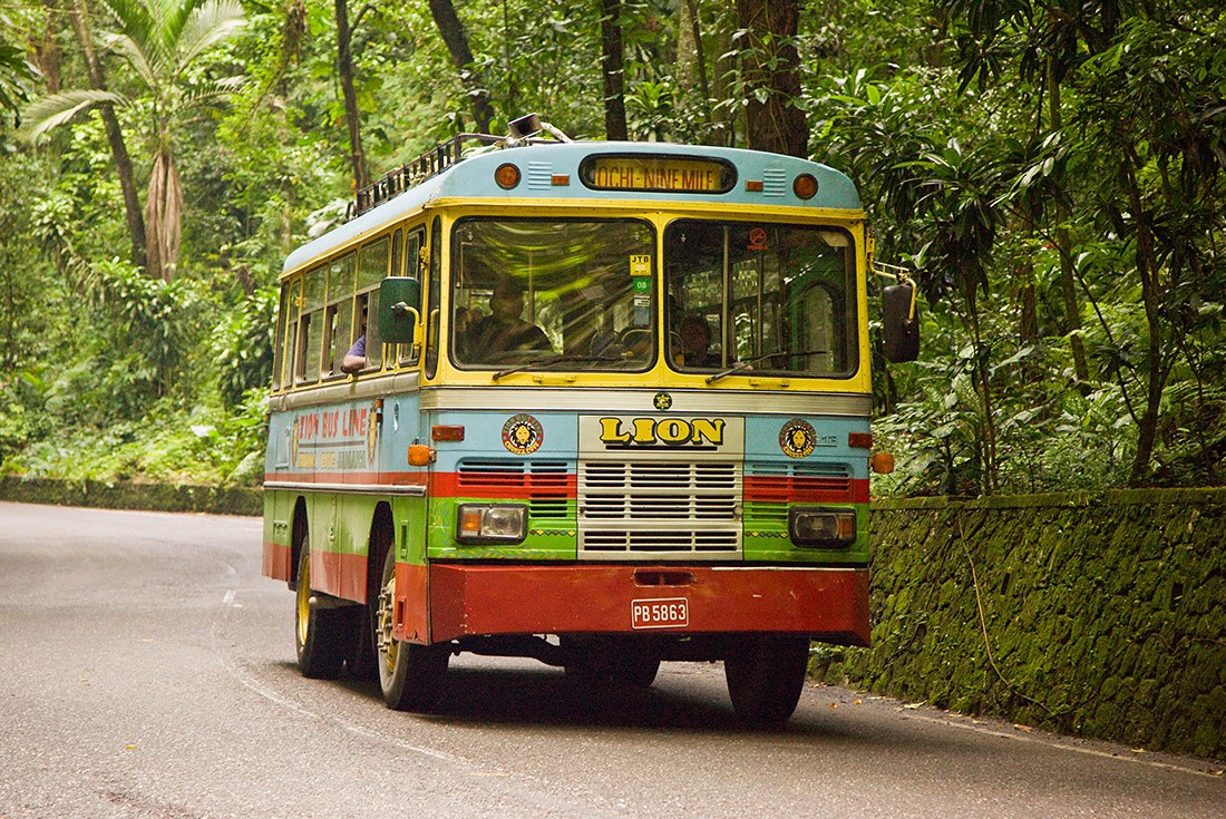 jamaica bus