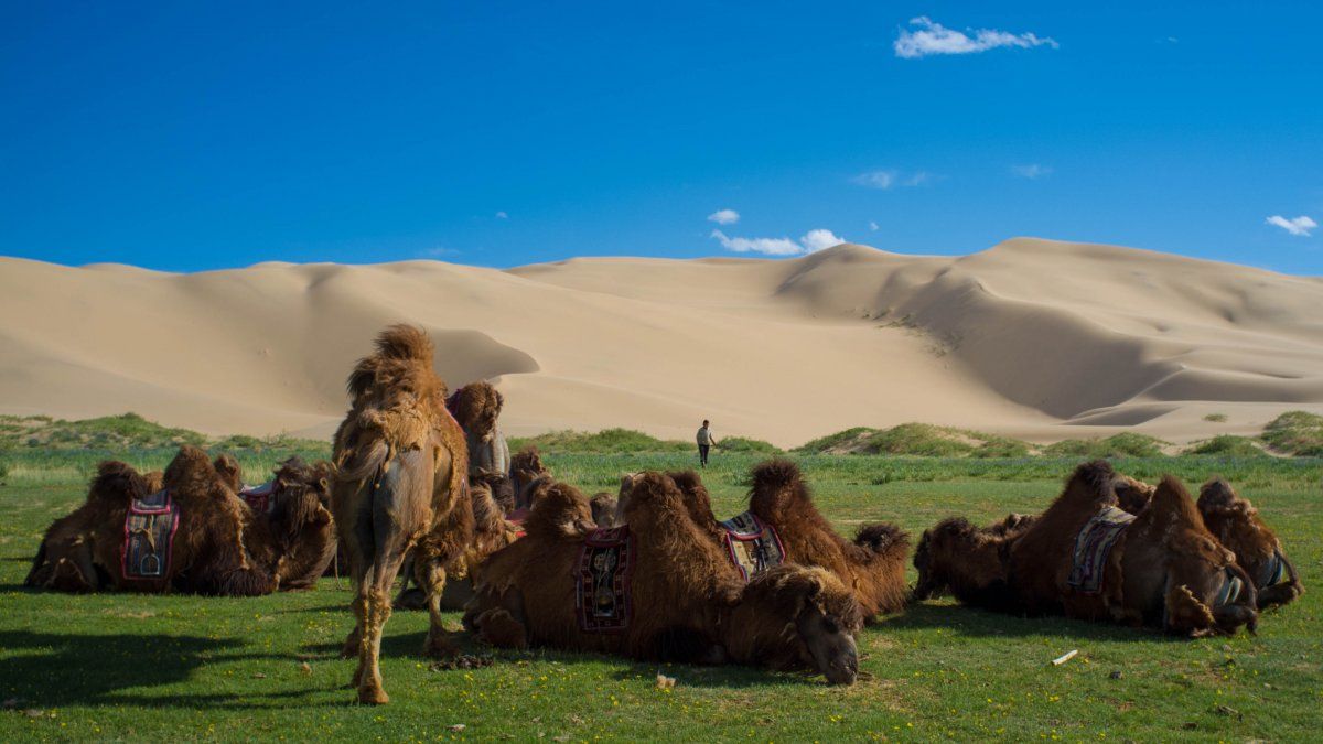 Mongolia
