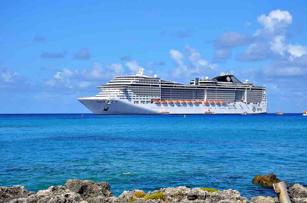 msc divina