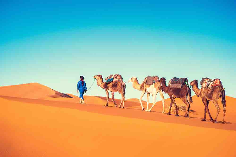 sahara dunes