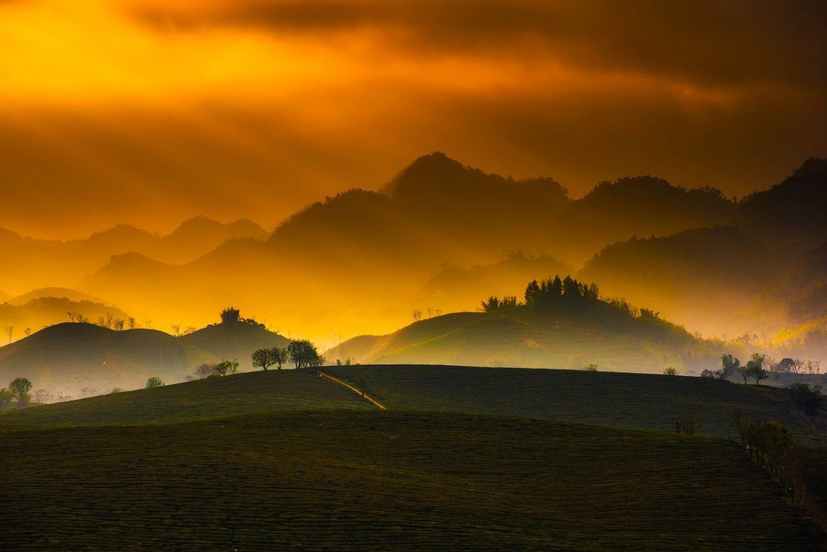 Vietnam