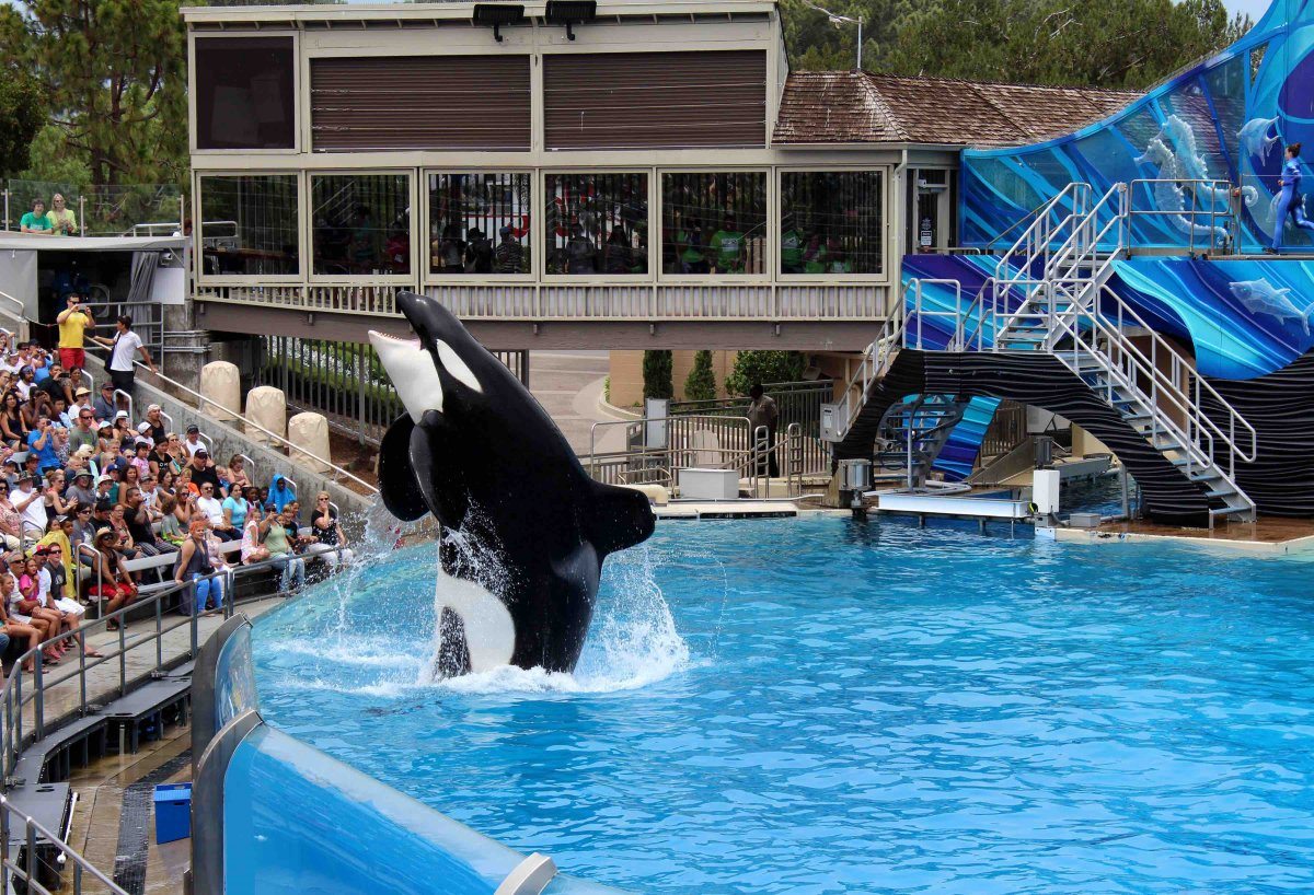seaworld