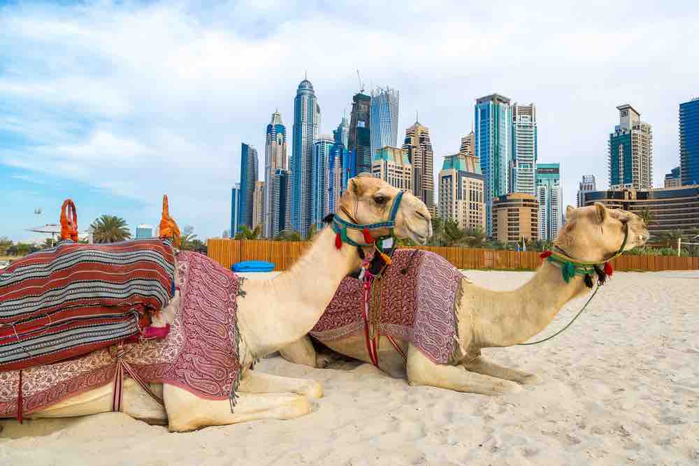 united arab emirates