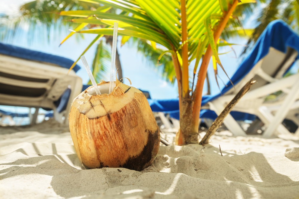 coconut