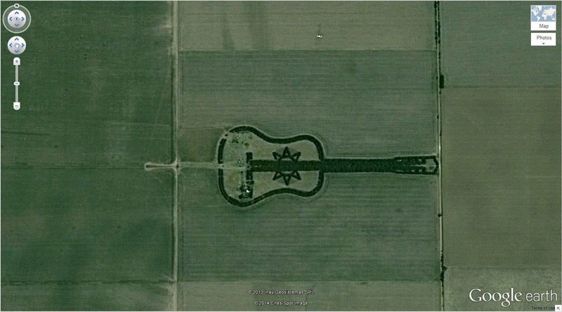 Guitar-forest
