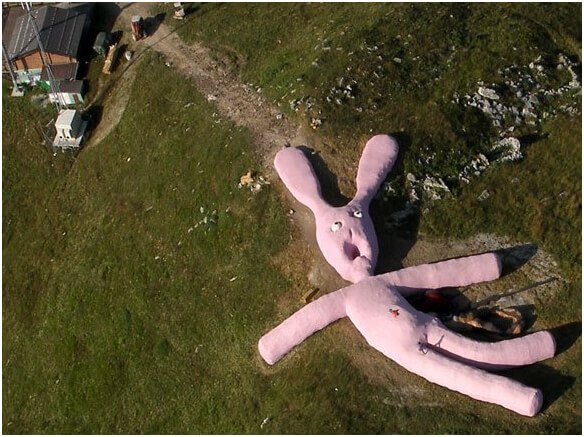 huge-bunny