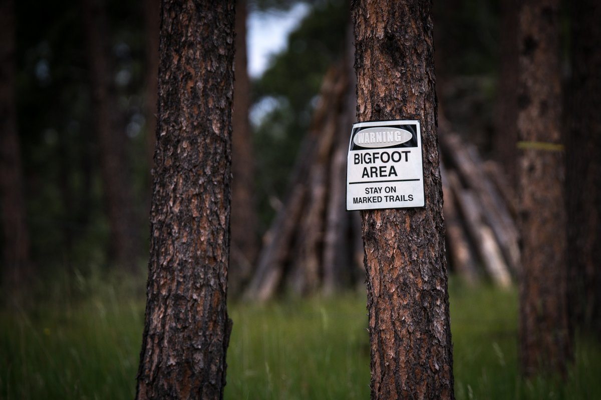 Warning Bigfoot Area