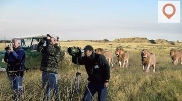 10 Things NOT to Do on a Kenyan Safari