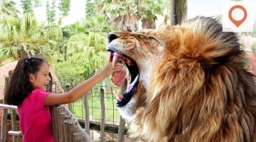 10 Awesome Things to Do in ZAMBIA