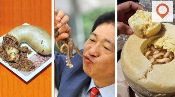 The 10 Worst Traditional Foods in the World
