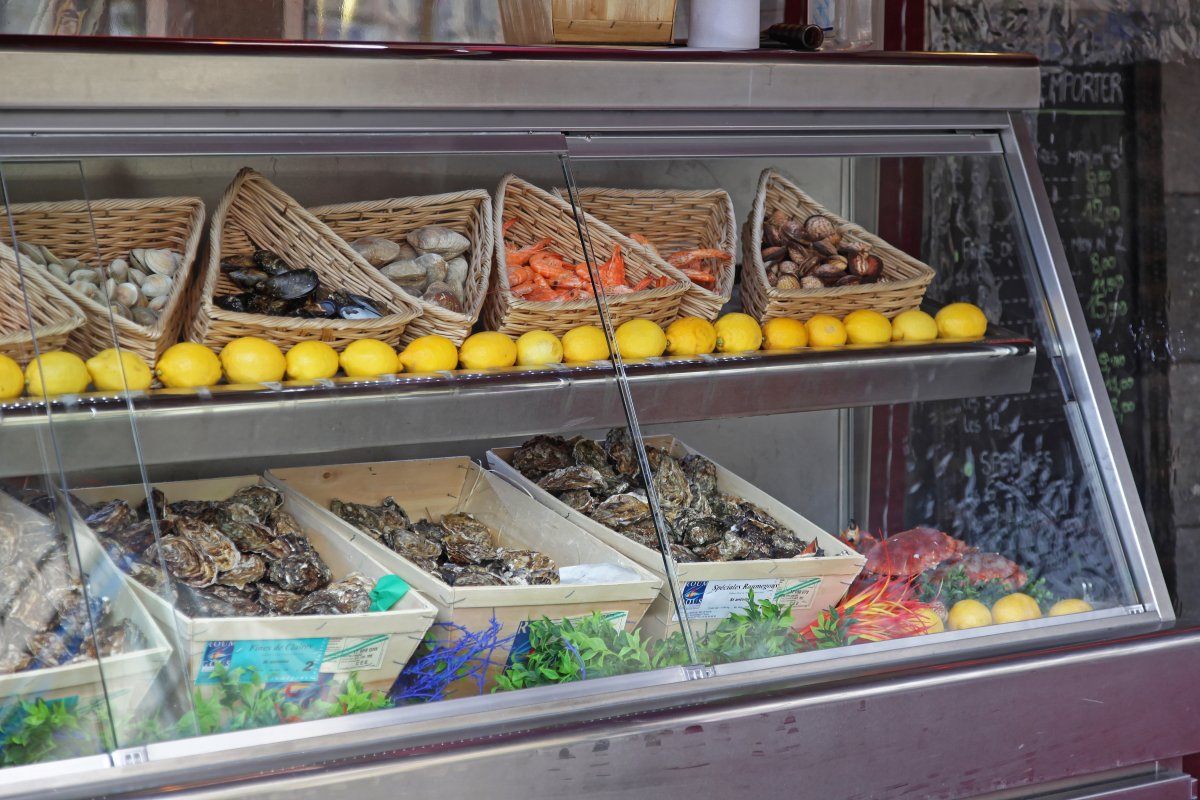 Big Selection of Fresh Oysters Clams and Shellfish Seafood at Display