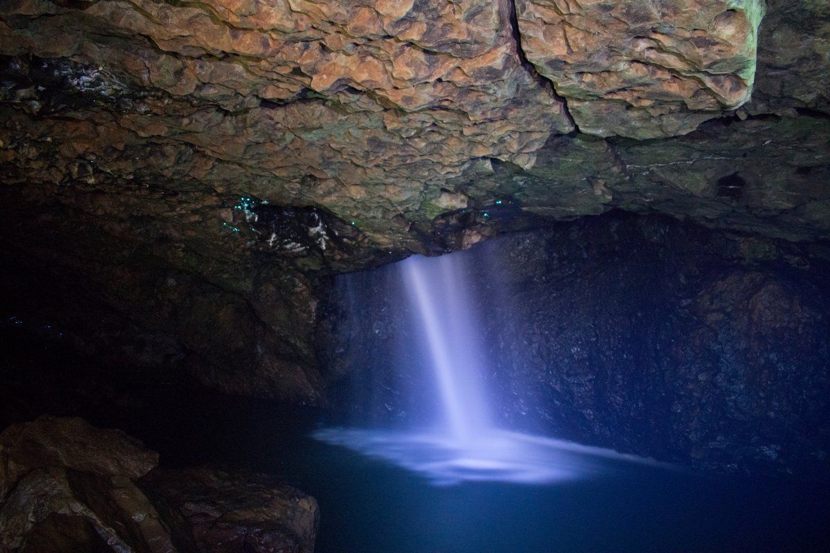 Glow Worms Cave Springbrook