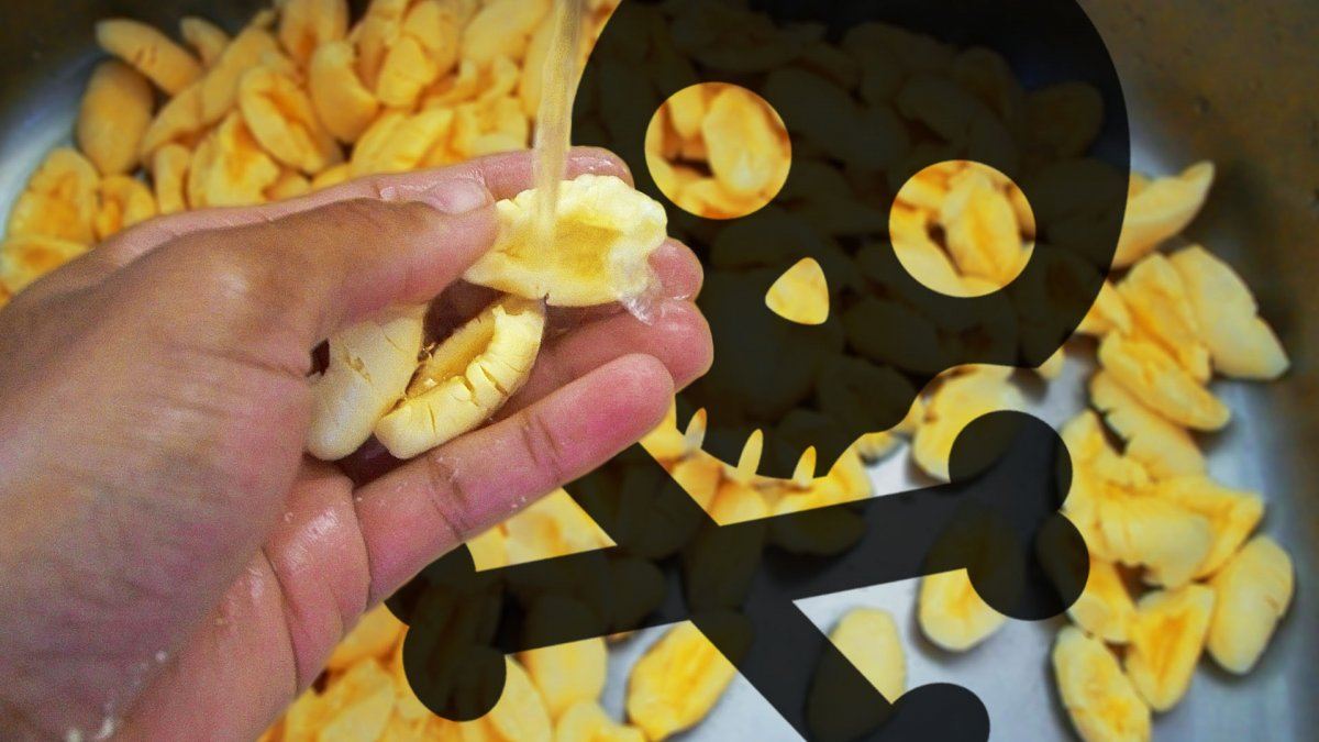 10 Strange Breakfasts of the World