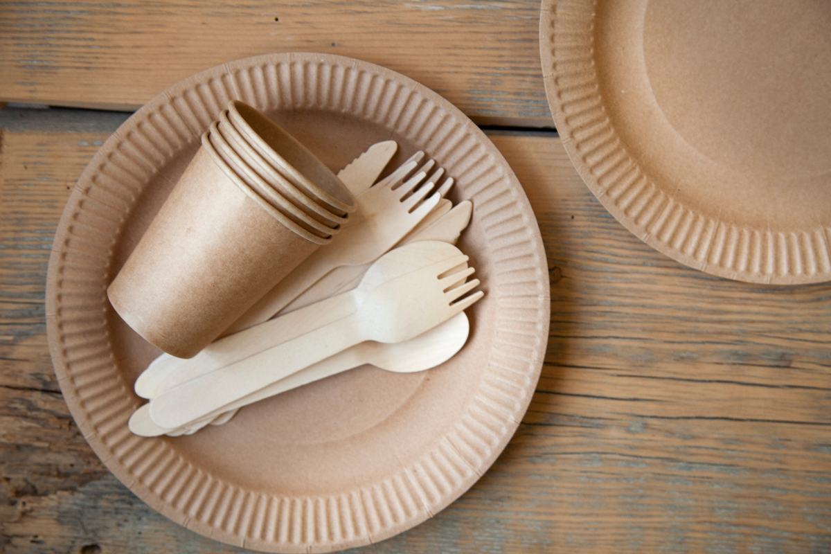eco-friendly disposable tableware