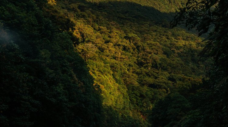 Driving in Costa Rica: The Complete Road Guide
